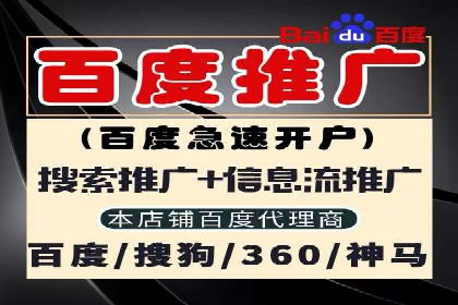 SEM公司案例分享：优化效果与转化率提升策略